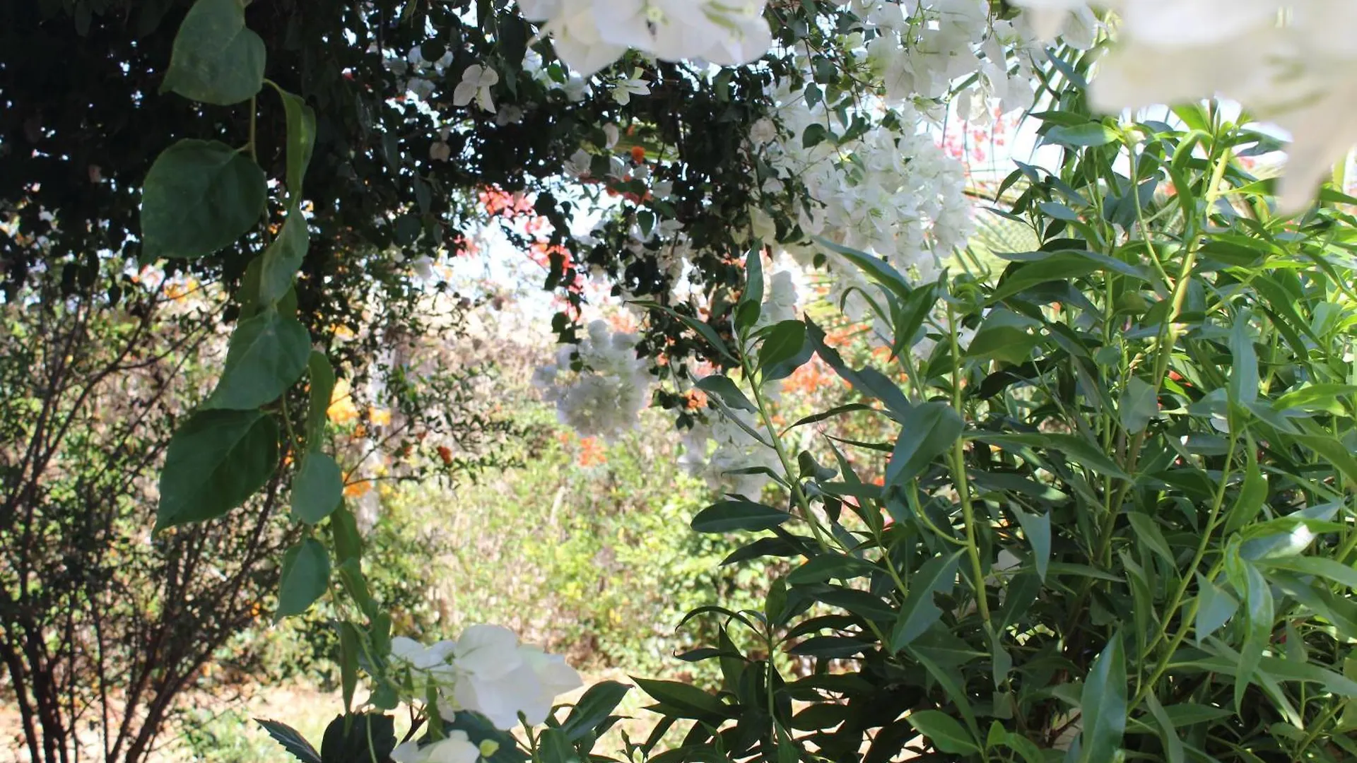 Σπίτι διακοπών Sea And Sun Villa A Αγκαντίρ
